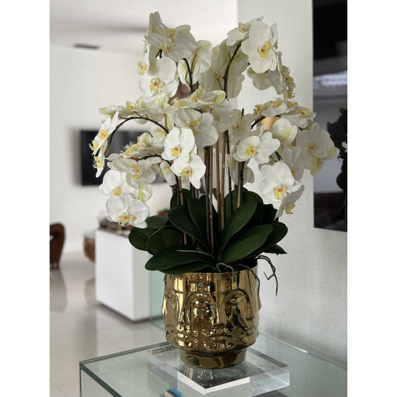 Orchid Floral Arrangement in Vase