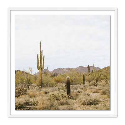 High Desert by Wesley and Emma Teague - Single Picture Frame Print