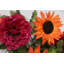 Douille mélangée 36 fleurs-1073783307