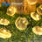 Bussell 30 - Bulb 252'' Solar Powered Curtain String Light