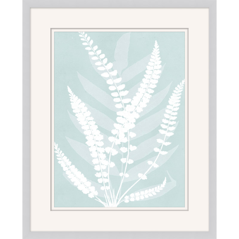 Delicate Fern Assimilation 3 Print