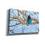 «Steller Jay In Winter» par Rick Berk, art mural sur toile-177615989
