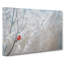 Cardinal Bird - Wrapped Canvas-55323983
