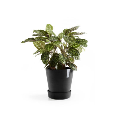 Pot Planter