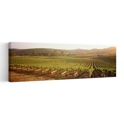 Vue panoramique de vignobles, Carneros District, Napa Valley, Californie, États-Unis, paysage contemporain abstrait, art mural montagne