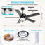 Ventilateur de plafond 52 po à 5 pales en cristal moderne avec lumières et télécommande