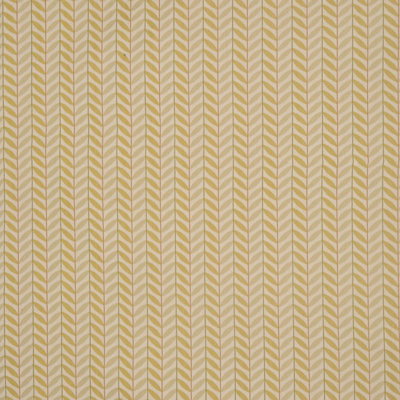 Allure Fabric