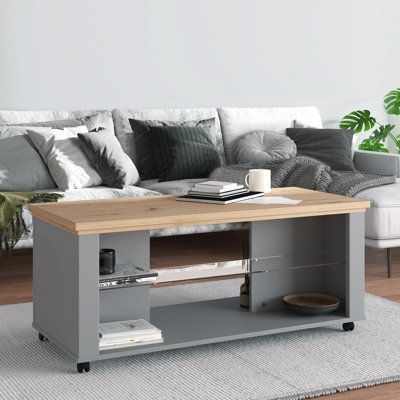 Jhaniah Floor Shelf Coffee Table with Storage