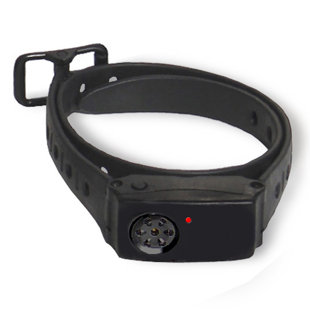 Portable Ultrasonic Electric Fence Collar