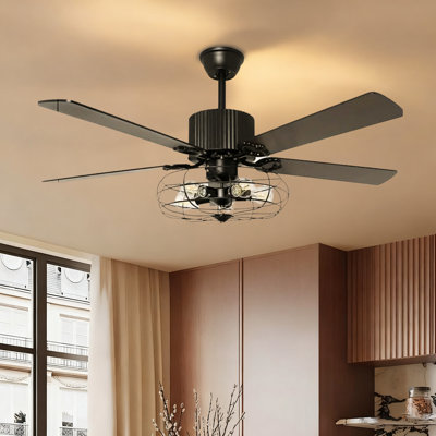 Aniek 52'' Ceiling Fan with Light Kit