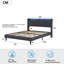 Dathen Upholstered Storage Bed
