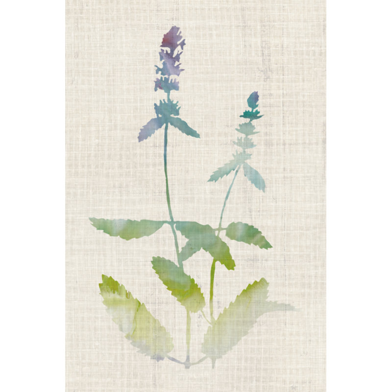 Plants IV by Naomi McCavitt - Wrapped Canvas Painting, 30 cm H x 20 cm W, Wrapped Canvas