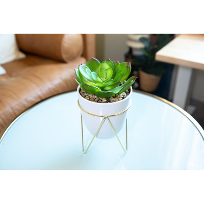 11.5'' Faux Succulent Plant in Ceramic Pot