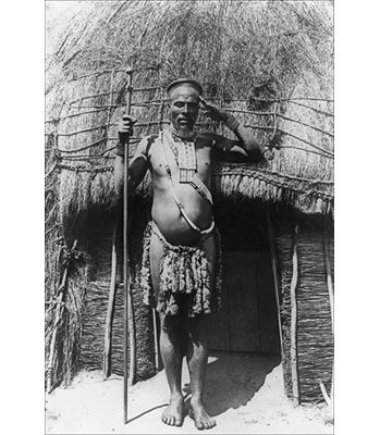 " Zulu Chief "