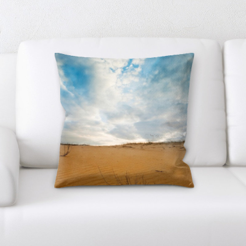 Desert Microsuede Reversible Throw Pillow