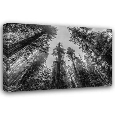 Art sur toile tendue par Millwood Pines, galerie Magick