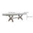 Emington Extendable Dining Table