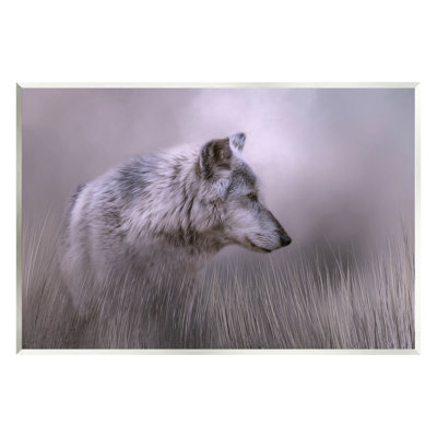 " Gray Wolf Wildlife "