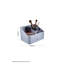 Rowlands Plastic 6 Compartment Organiser