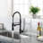 FLG Pull Down Kitchen Faucet