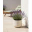 Pot Planter