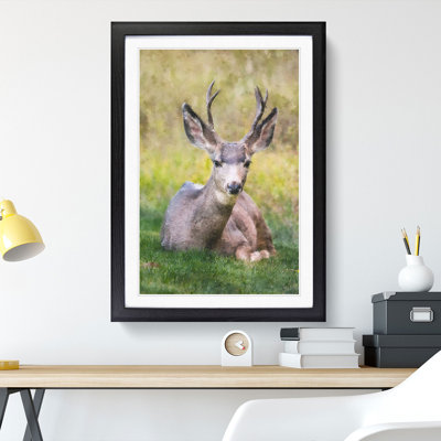 A Resting Deer - Picture Frame Painting