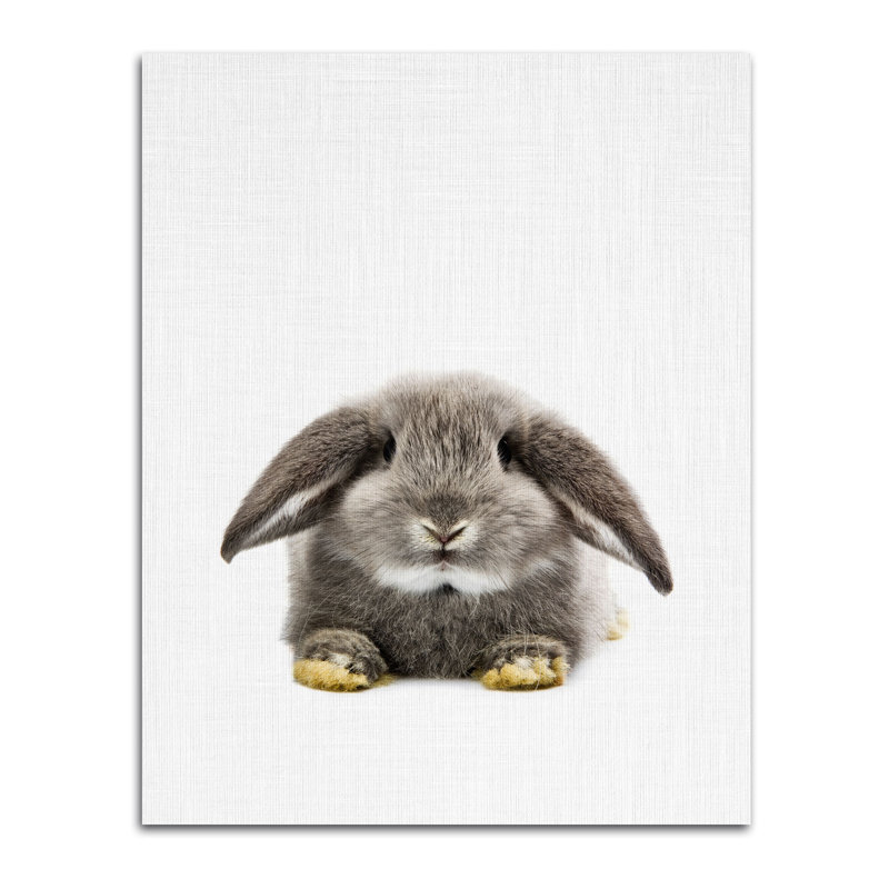 « lapin ii », impression, Papier, H 20 po x l 16 po x P 0,01 po