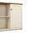 Roozbeh Accent Cabinet with Doors-8526544