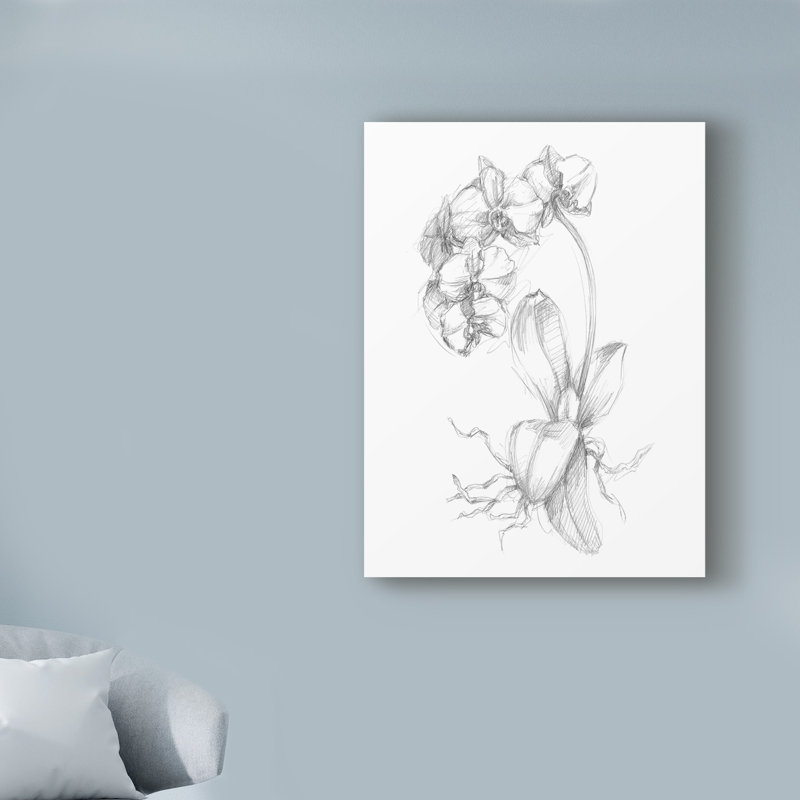 « botanique sketch v », reproduction d’art sur toile tendue, H 47 po x l 35 po x P 2 po