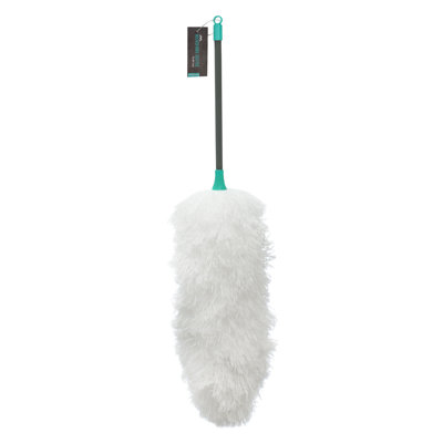 Dailonis Mop