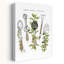 Herbs Make It Better Rustic Vintage Abstract Spring Wall Art Print 1 Piece Wrapped Canvas Wall Art-1380657847