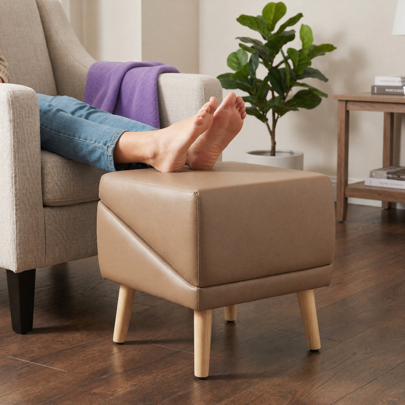 Banc de repose-pieds pliable 2-en-1 pour petits chiens et chats