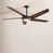 Oil Rubbed Bronze/Antique Brass