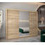 Arryonna 2 Door Manufactured Wood Wardrobe-2017506525