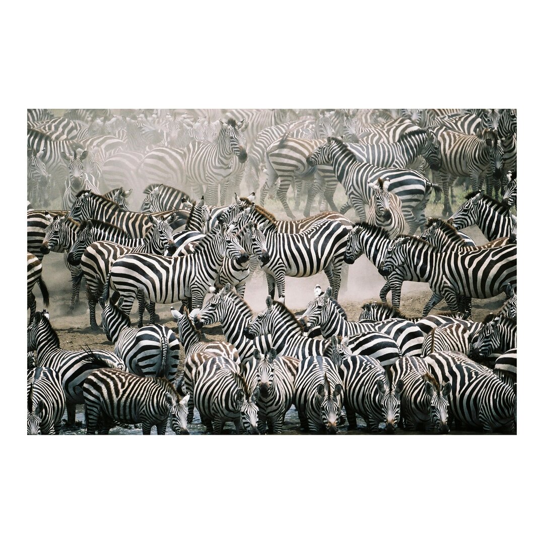 Strukturierte Tapete Herd of Zebra