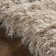 Petrey Indoor Rug