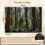 Papier peint adhésif autocollant Sunlight Giant Trees Majestic Forest-2088295215