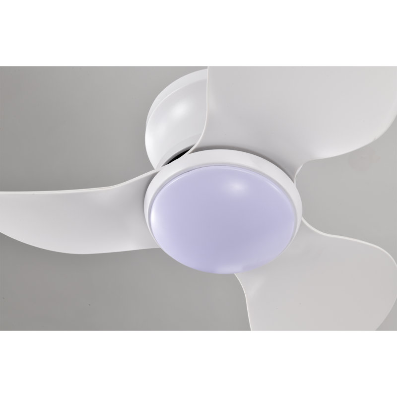 Ventilateur de plafond lumineux blanc Niamh