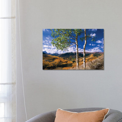 Quaking Aspen Trees in Fall-Colors on Elk Mountains, Capitol Creek Trailhead, Colorado 1 Piece Wrapped Canvas Wall Art
