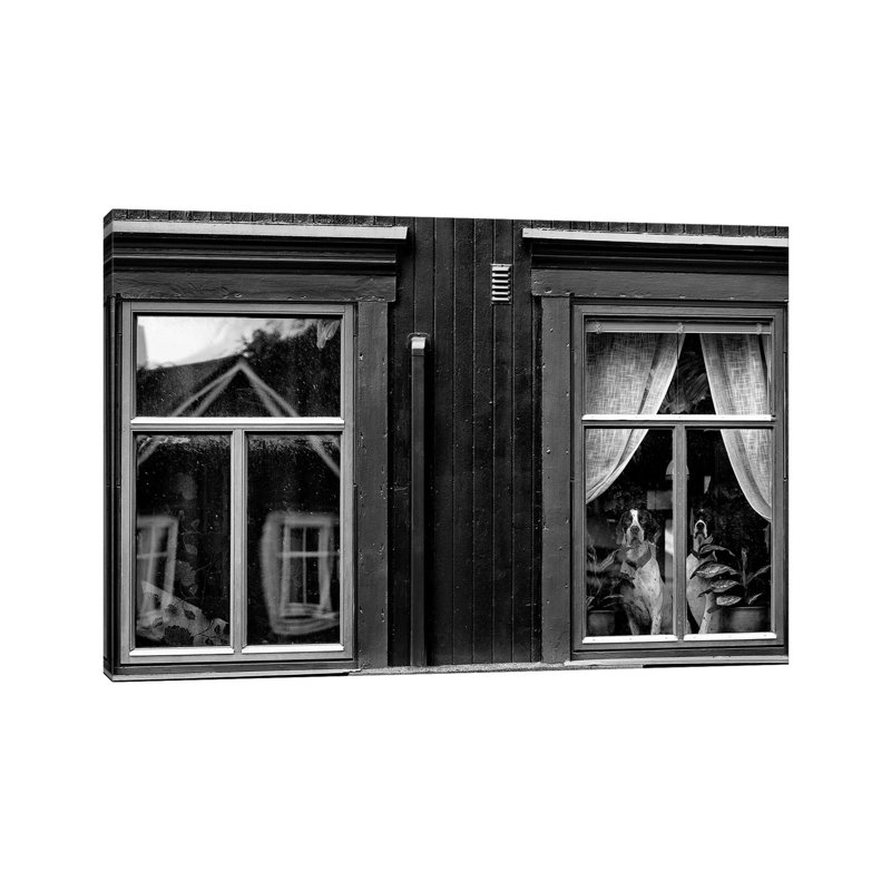 The Dogs II by Julien Oncete - Wrapped Canvas Print, 20.32 cm H x 30.48 cm W