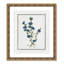 Colombe Soft Botanical I - Art encadré avec fond perdu-72514520-72514518