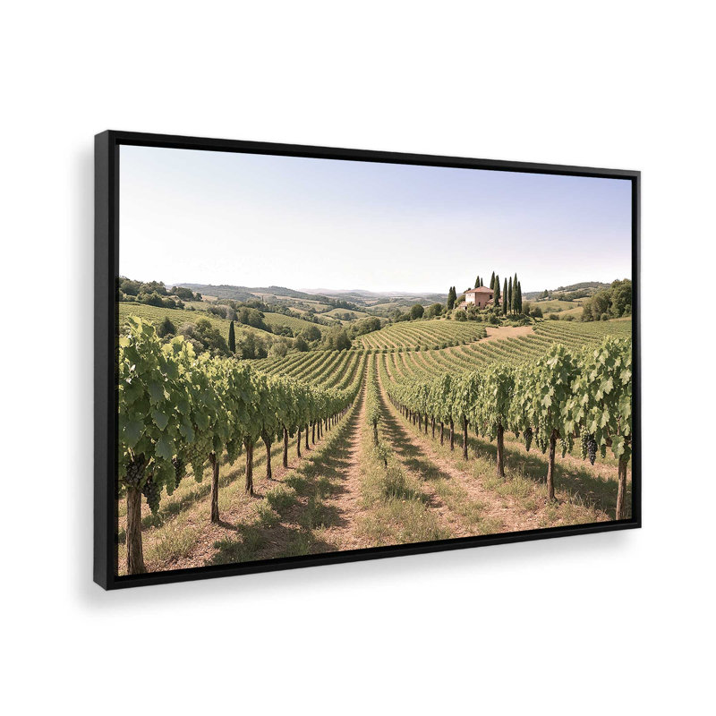 Sunlit Tuscan Vines, reproduction sur toile, Cadre flottant noir satiné, 12 po x 18 po