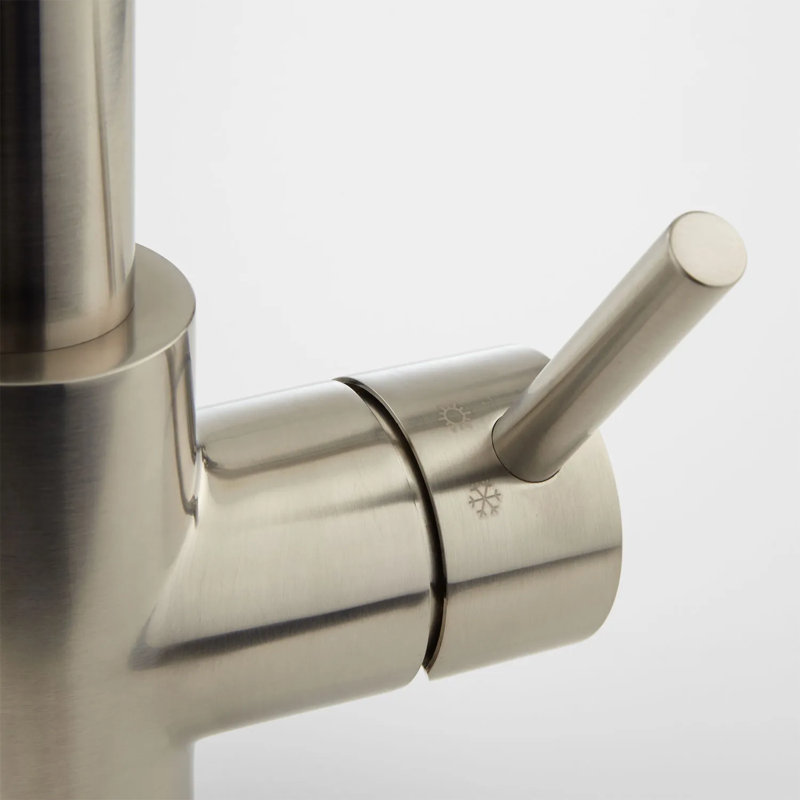 Robinet de cuisine à poignée simple avec accessoires Levi, Nickel brossé