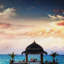 Print on Canvas-25122730-25122735