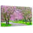 Harnek Sakura Path-107680684