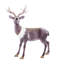 Cerf debout