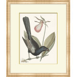 Summer Bird 6 Print
