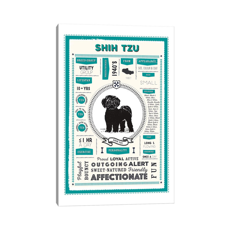 Shih Tzu Infographic Blue by PaperPaintPixels - Wrapped Canvas Painting, 20.32 cm H x 30.48 cm W