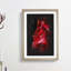 Petals of a Red Rose - Picture Frame Graphic Art Print-56857080-56857083
