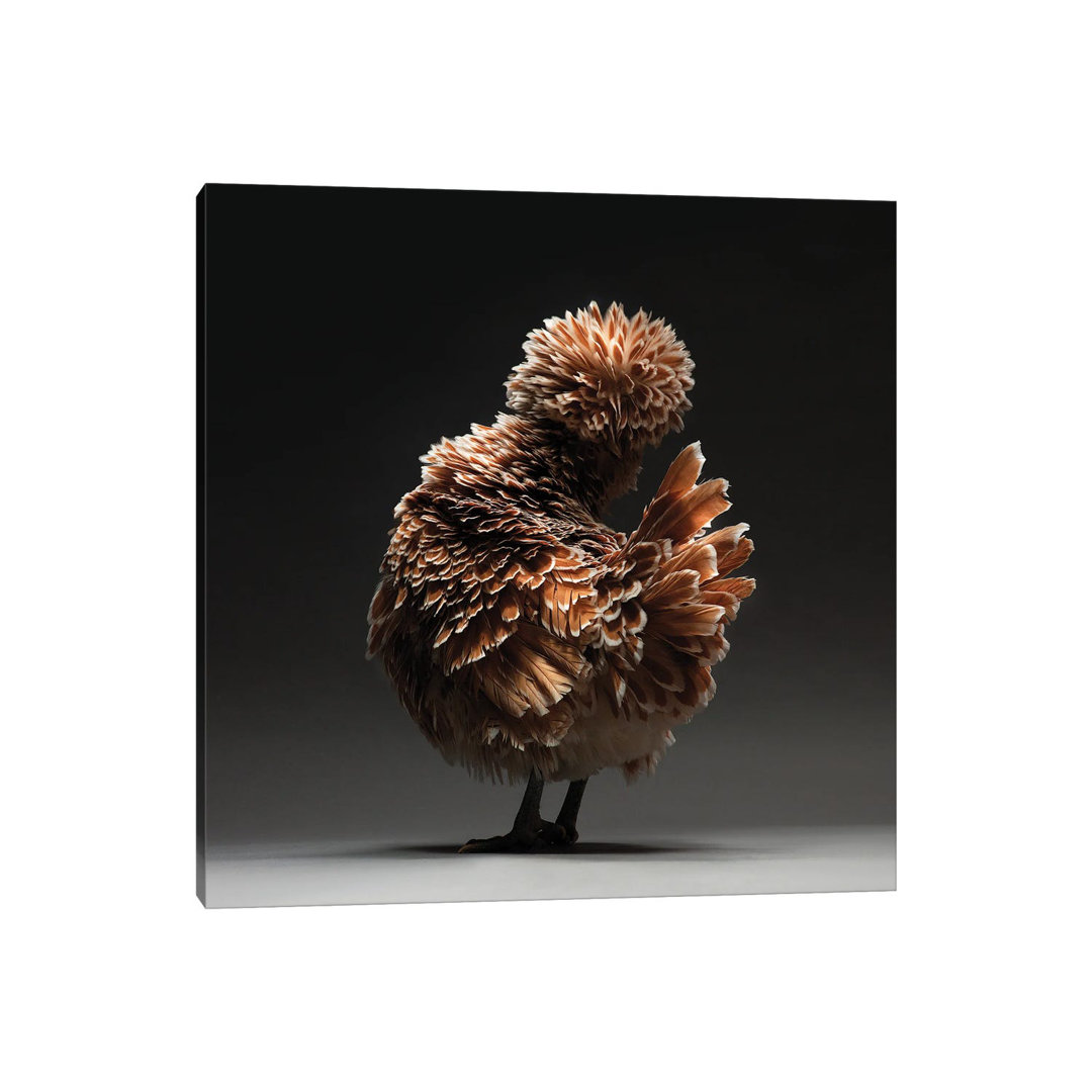 Padovana by CHICken - Wrapped Canvas Print
